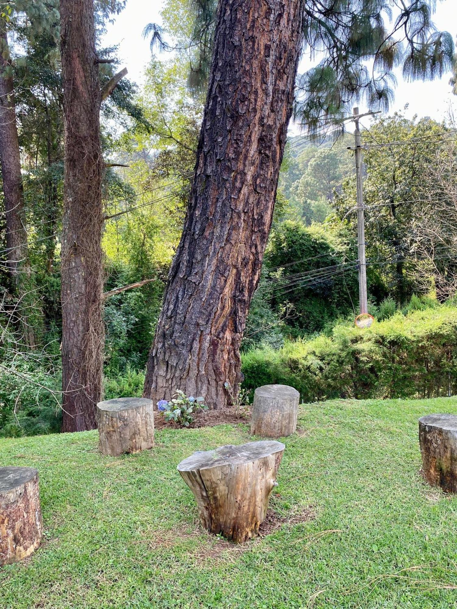 Villa Nona Acatitlan Bagian luar foto